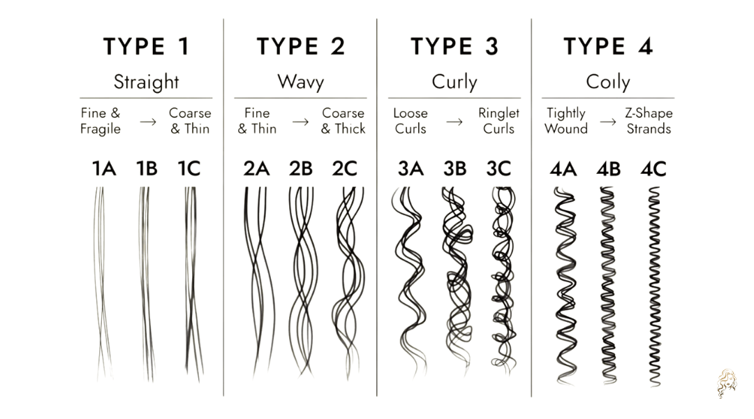 guide showing different hair textures—fine, coarse, curly—and how each type affects hair dye results and absorption.