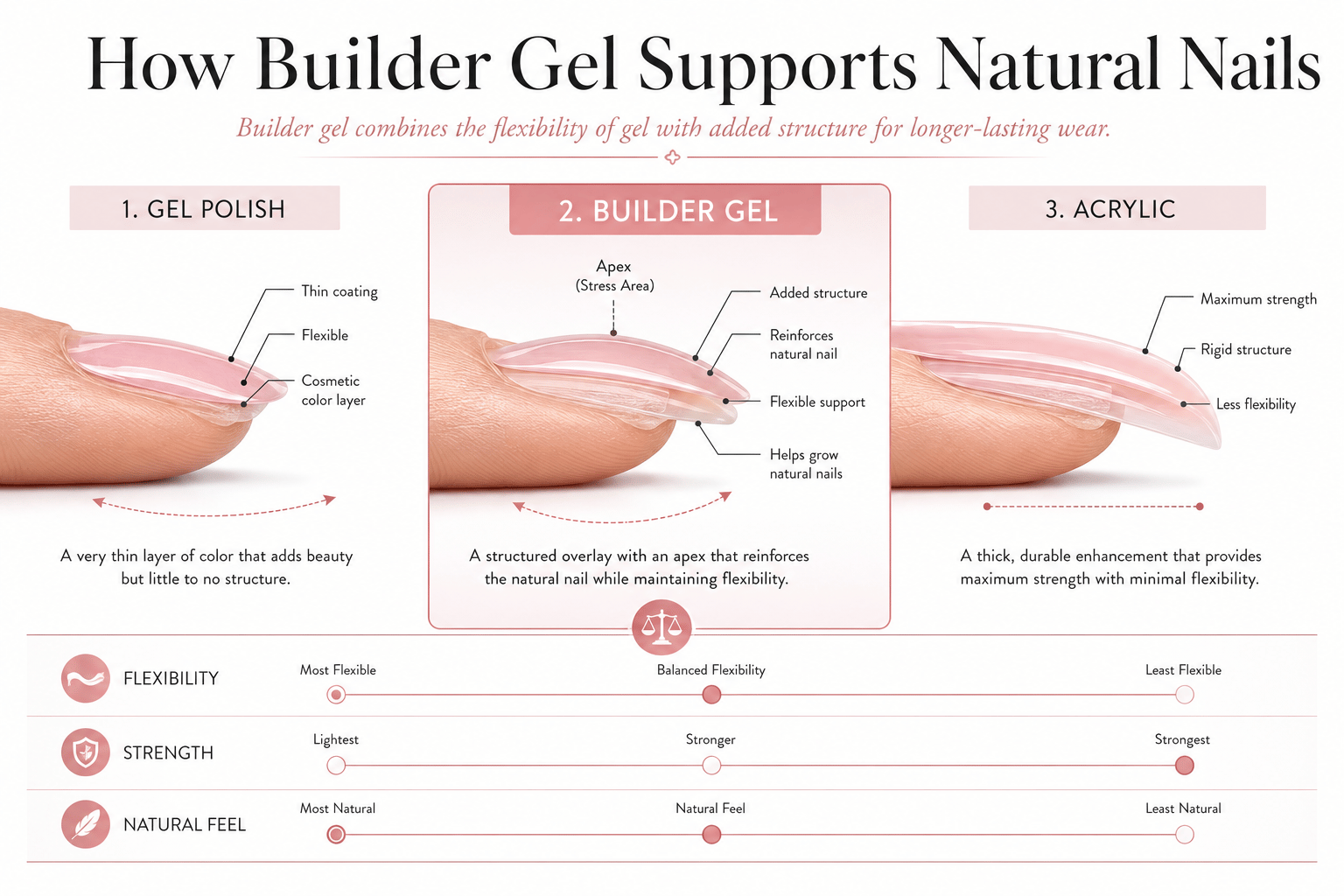 Illustration comparing gel polish, builder gel, and acrylic nail structures, showing flexibility, thickness, and support for natural nails.